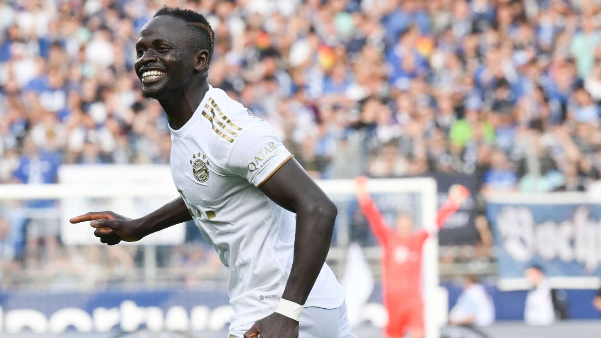 俄羅斯足協 俄羅斯足協