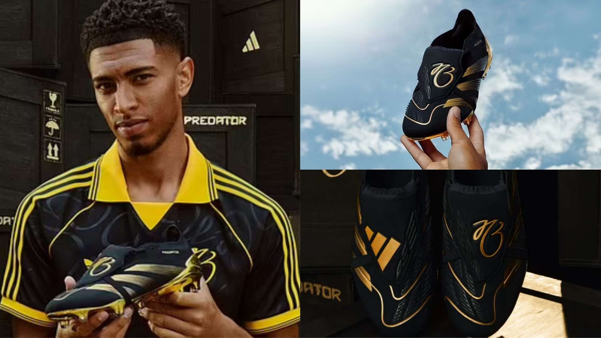 的耀眼新星 的耀眼新星